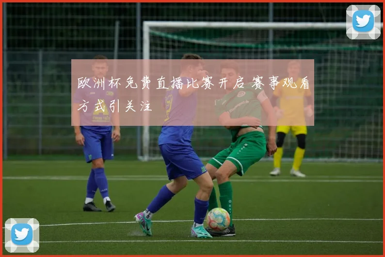 欧洲杯免费直播比赛开启 赛事观看方式引关注