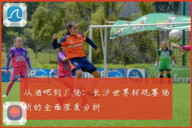 从酒吧到广场：长沙世界杯观赛场所的全面深度分析