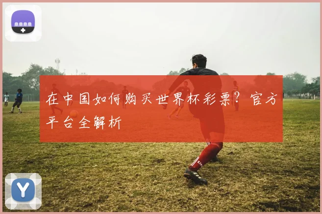 在中国如何购买世界杯彩票？官方平台全解析