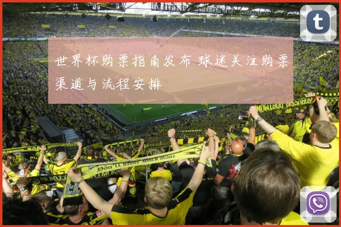 世界杯购票指南发布 球迷关注购票渠道与流程安排