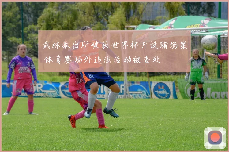 武林派出所破获世界杯开设赌场案 体育赛场外违法活动被查处