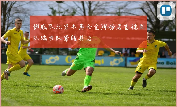 挪威队北京冬奥会金牌榜居首德国队瑞典队紧随其后