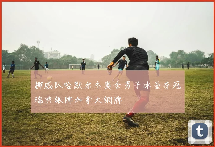 挪威队哈默尔冬奥会男子冰壶夺冠瑞典银牌加拿大铜牌